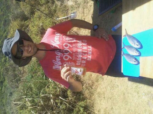 herrings caught at shelley beach