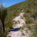 climbing mt hassell stirling ranges