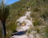 climbing mt hassell stirling ranges