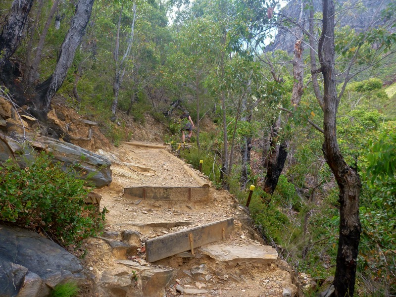 climbing up bluff knoll