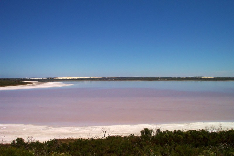 esperance pink lake