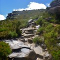 walking track up bluff knoll