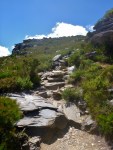 walking track up bluff knoll