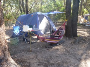 black wolf base station