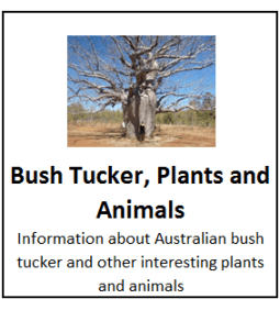 Bush Tucker, Plants and Animals