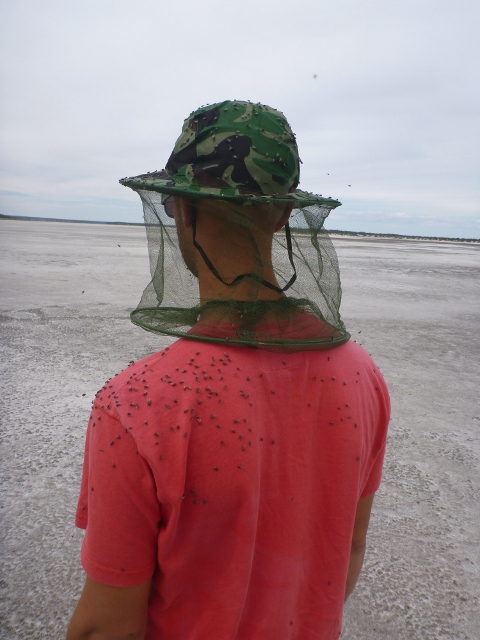 Battling the flies near Googs Lake, on Googs Track