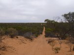 Googs Track, near Ceduna, South Australia