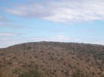 Mt Finke, Googs Track, near Ceduna, South Australia