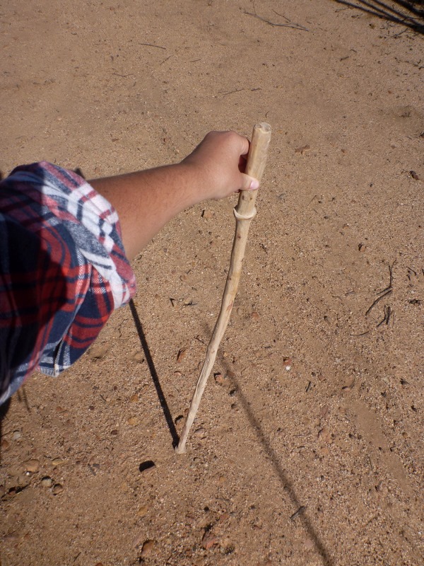 finished product hand crafted walking stick