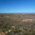nullarbor landscape no trees