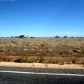 nullarbor plain near madura