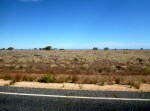 nullarbor plain near madura