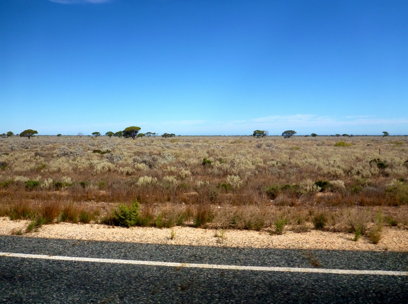 nullarbor plain near madura