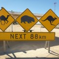 nullarbor roadsign