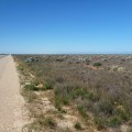 nullarbor typical road