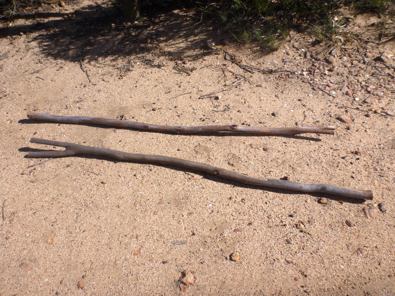 raw materials for hand crafted walking sticks