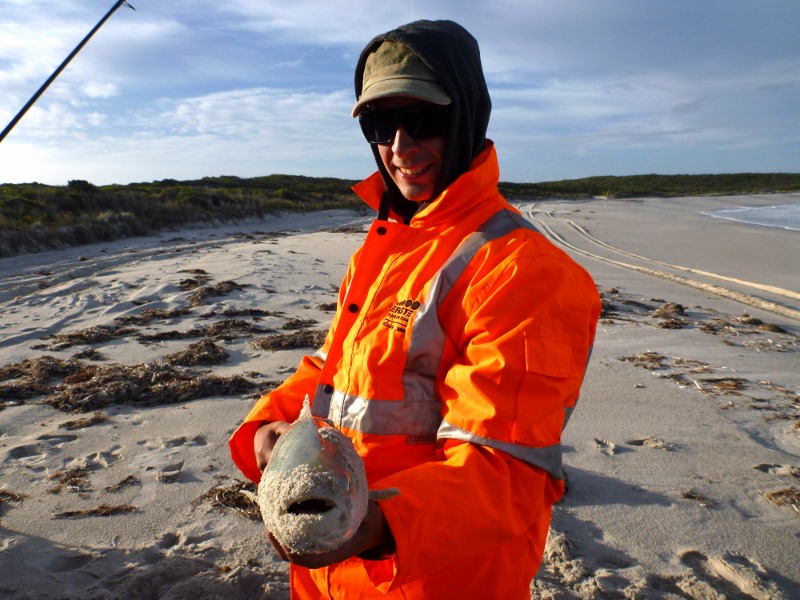 Salmon caught at Poison Creek, Cape Arid
