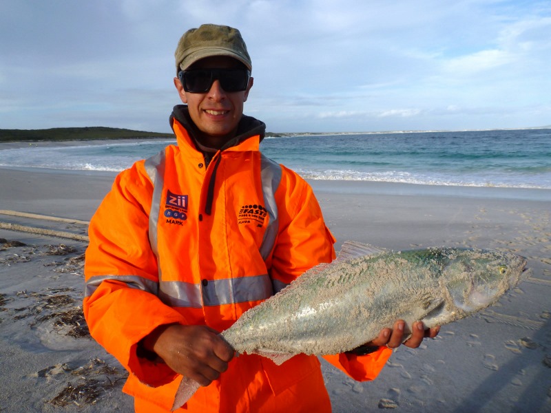Salmon caught, Poison Creek, Cape Arid National Park