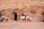 Crocodile Harry's Nest, Coober Pedy