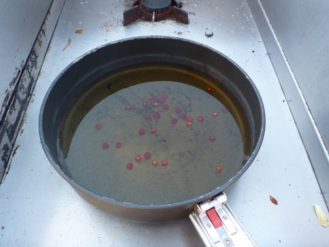Making Ruby Saltbush tea at Ellery Creek Big Hole