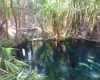 Mataranka bitter springs hot springs
