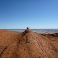 on top of Uluru