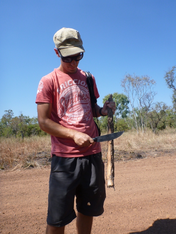 Initial Prep of branch