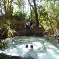 Katherine Hot Springs, NT