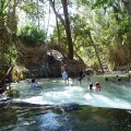 Katherine Hot Springs, NT