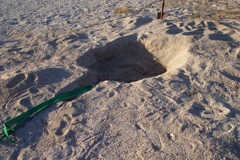 spare tyre burial for winch recovery in sand, tamala station, western australia