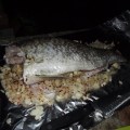 barramundi cookup