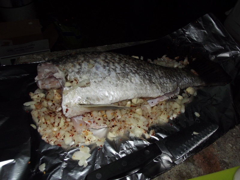 barramundi cookup