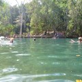 berry springs main pool