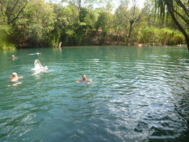 berry springs main pool