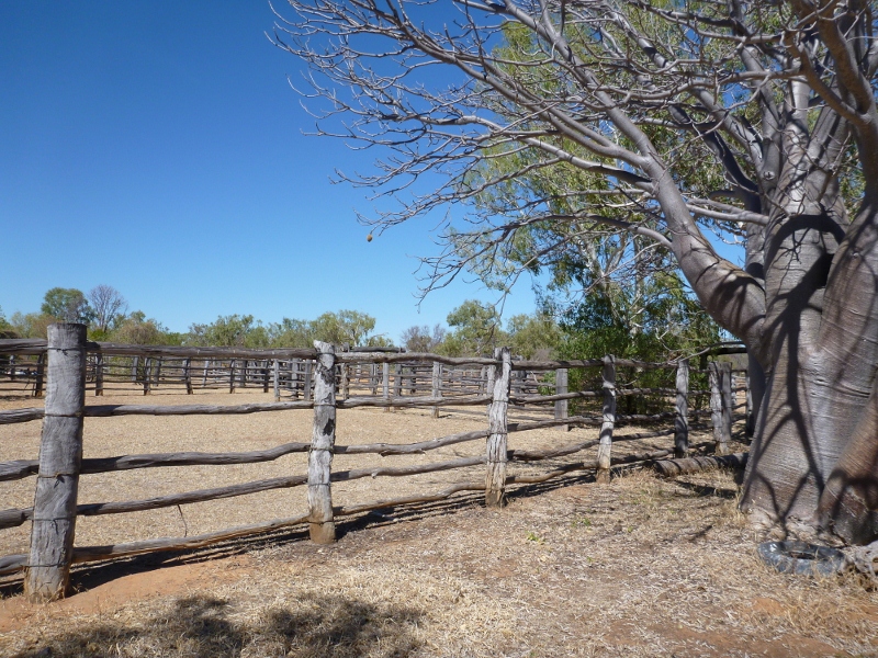 Bullita Homestead, Gregory National Park