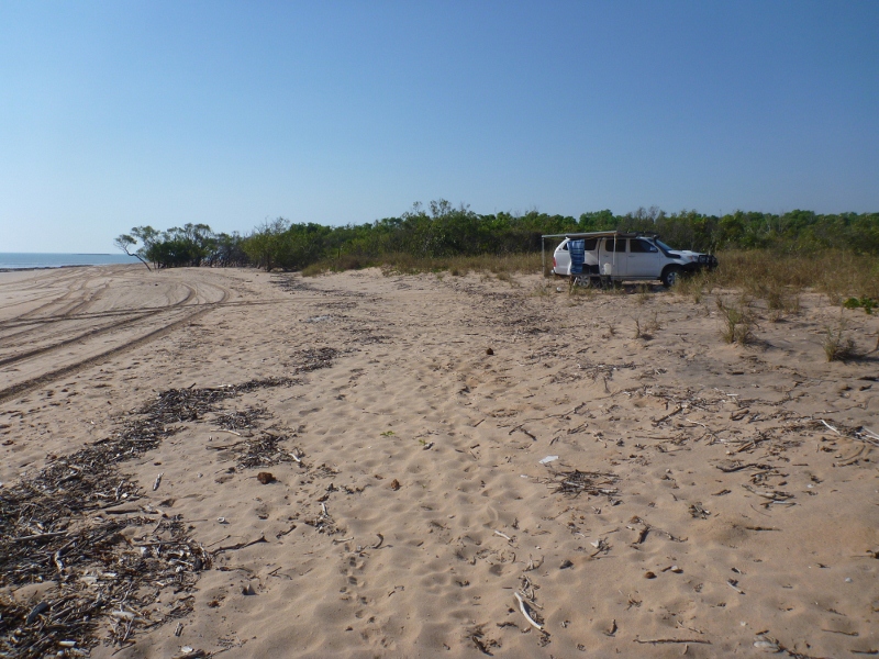camp on dundee beach