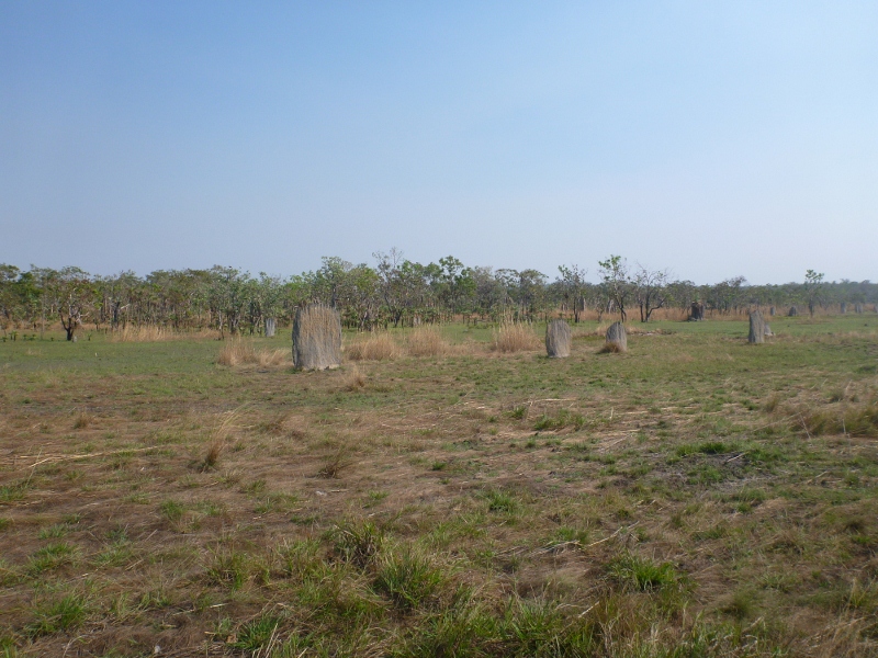 magnetic termite mounds