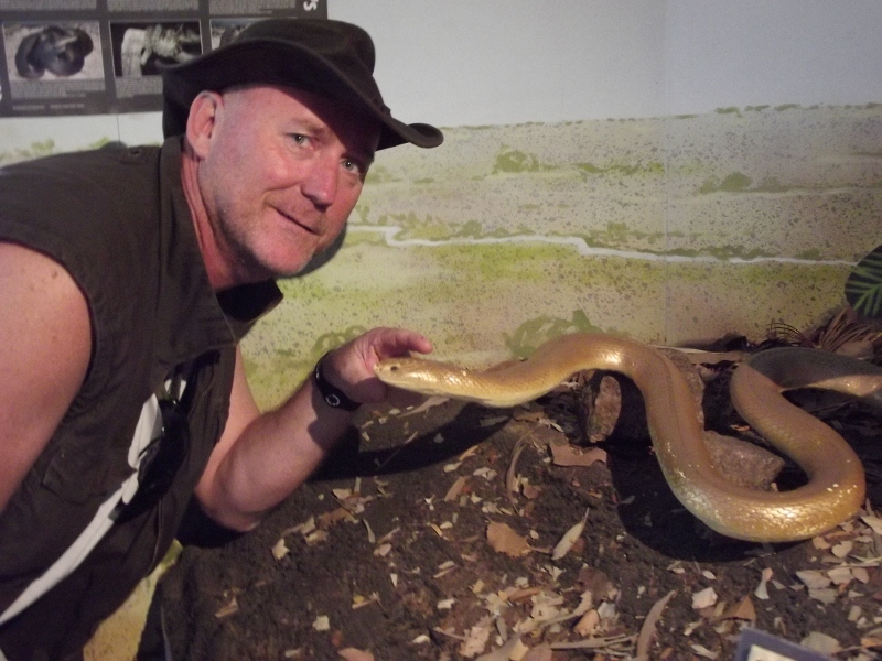 one of the displays at Window on the Wetlands