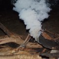 smoking log on the campfire, gunlom falls camping area