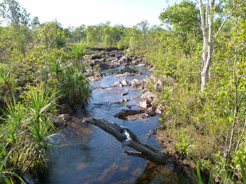 top of wangi falls, wangi creek feeding wangi falls