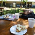 adelaide river picnic day denonshire tea