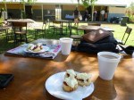 adelaide river picnic day denonshire tea