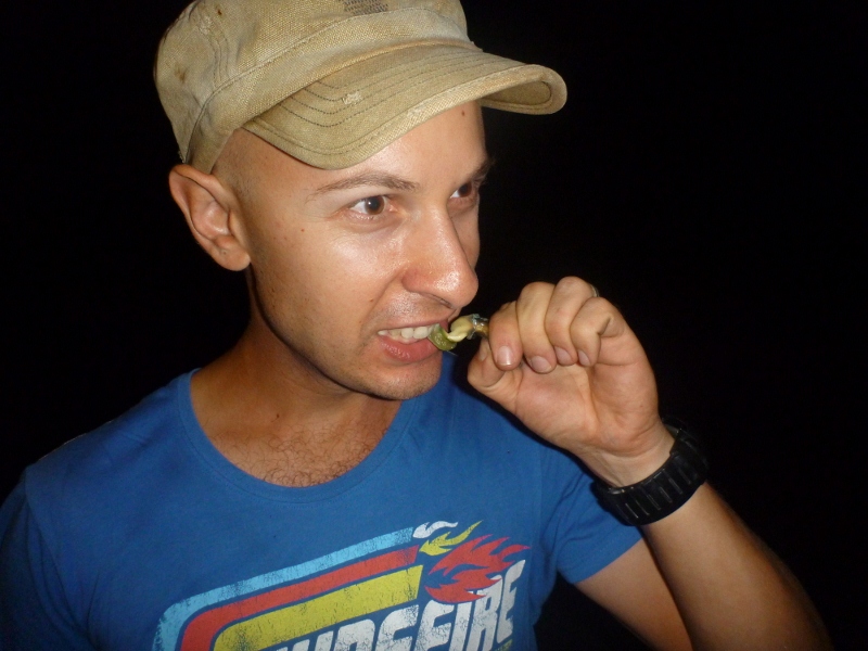 dundee beach eating telescopiums