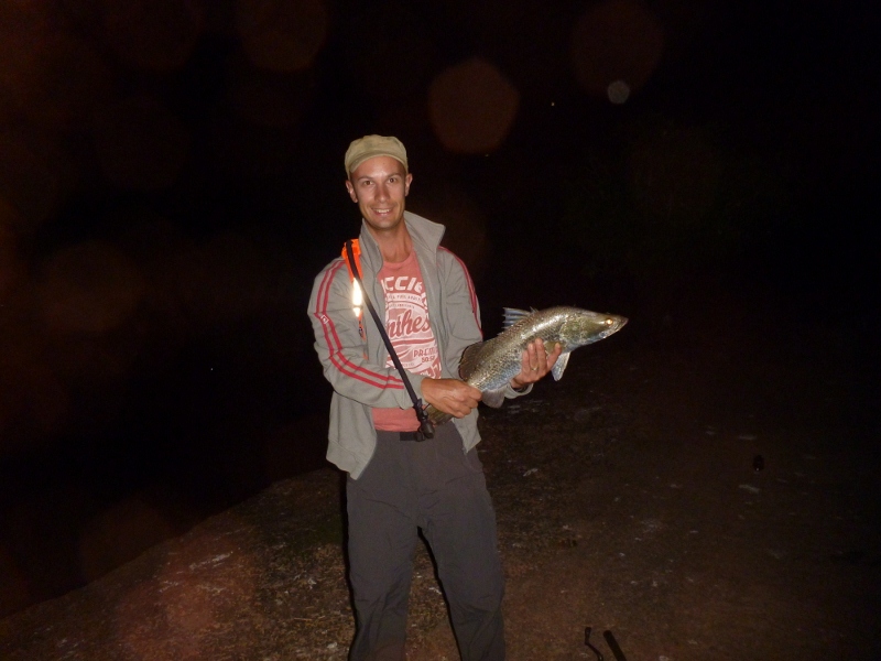 shady camp barramundi