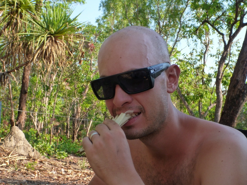 eating pandanus