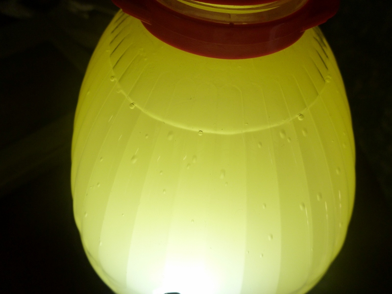 bubbles produced by fermentation