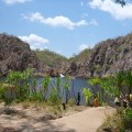 edith falls (2)