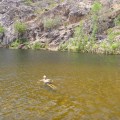 edith falls swimming