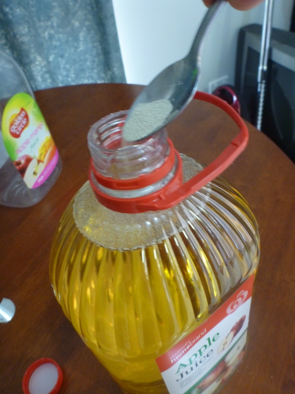 inoculating apple juice with yeast