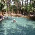 mataranka hot springs